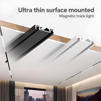 Modern 3000-6000K Tuya Akıllı Lineer Mini Led Manyetik Raylı Işık Sistemi Müze Vitrini için Projektör