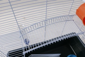 Gabbia per cani all'ingrosso di alta qualità doppio strato grande spazio pieghevole filo gabbia furetto facile da pulire robusta gabbia criceto resistente morso - Product Image 3