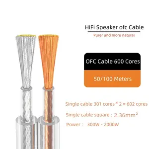 Coppia di cavi per altoparlanti OFC 2.36 mm2 Twisted Pair Cable Wire Ofc Speaker per Stage Flat guaina in PVC 2 Core Speaker Wire 2.36 mm2