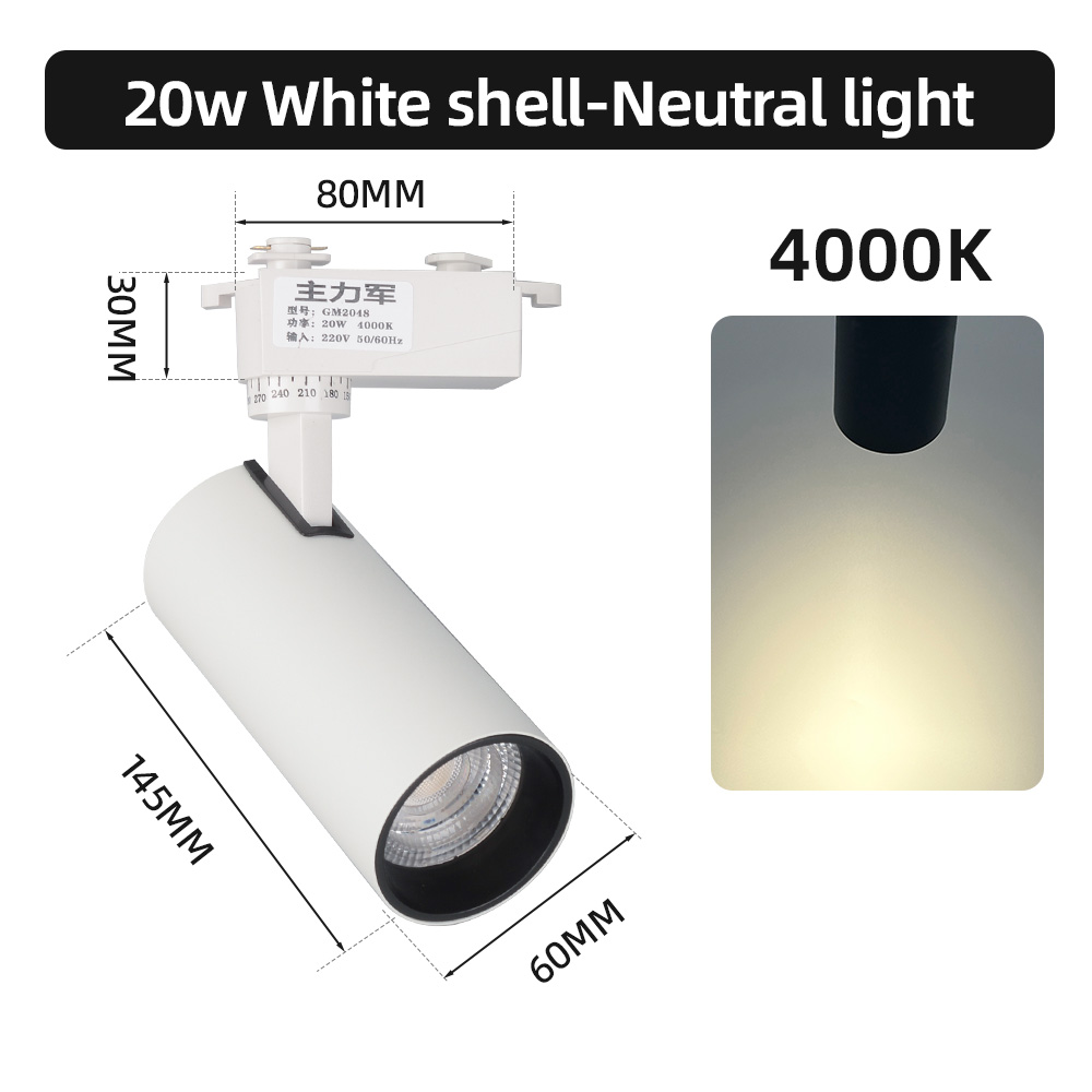 20W Blanc-4000K