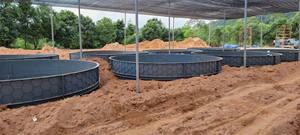 Resistente Vasca per Pesci in PP per Acquaponica Aggiornata, Attrezzatura per Allevamento di Gamberi e Tilapia, Stagno per Carpe <span class=keywords><strong>KOI</strong></span> per Sistema di Acquacoltura e Piscicoltura - Product Image 3