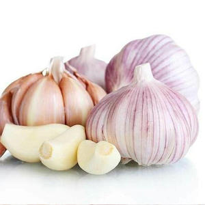 <span class=keywords><strong>Ajo</strong></span> blanco fresco sin pelar con GLOBAL GAP de China <span class=keywords><strong>Cultivo</strong></span> orgánico de 5 cm Blanco normal/púrpura/rojo/<span class=keywords><strong>ajo</strong></span> blanco natural - Product Image 2