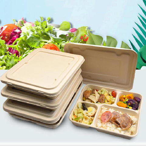 Chinese Food Container Sugarcane Takeout Containers Sugarcane Tray