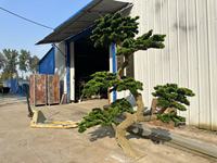 Sapin artificiel Bagang, aspect réaliste, toucher naturel, plante artificielle en plastique, résistant aux UV, résistant à l'eau, décoration intérieure et extérieure pour jardin