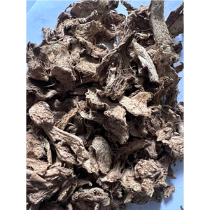Raíces de Jengibre Amargo Gigantes de Grado Comercial con Sabor Amargo Natural para Procesamiento Comercial - Product Image 5