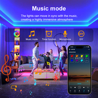 Bande LED SXZM 12V RGBW double rangée 4-en-1, ruban LED flexible haute luminosité multicolore + blanc pour éclairage intérieur