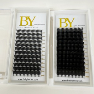 Dunkelschwarze Anime-Spike-Wimpernverlängerung, Langlebig, Anpassbares Logo, Wimpernlieferant, Großhandel Wimpern-Trays, Comic-Spitz-Wimpern - Product Image 2