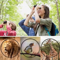 Binoculares con Zoom compacto 8x21 de largo alcance plegables HD potente Mini telescopio BAK4 FMC óptica caza deportes niños telescopio