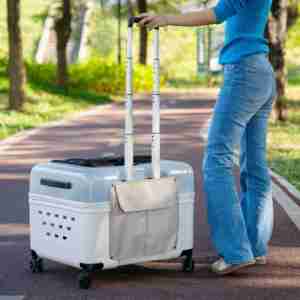 Chariot de luxe pour chien transportant un chariot de transport pour animaux de compagnie étui <span class=keywords><strong>à</strong></span> <span class=keywords><strong>roulettes</strong></span> sac de voyage <span class=keywords><strong>pliant</strong></span> multi-usages transportant un sac de transport pour animaux de compagnie - Product Image 4