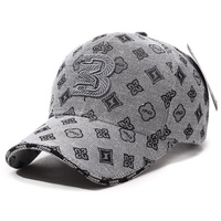 Gorra de Béisbol Unisex Estilo Coreano, Transpirable, con Protección Solar, Letras Bordadas a Mano, Estampado Moderno, Ajustable