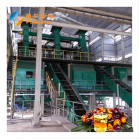 Verse Palmfruitverwerkingsapparatuur/Productielijn/Palmfruitmachine Voor Palmoliemolen