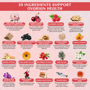 مكمل غذائي عشبي لتدفئة الرحم وتغذية المبيض، حبوب مستخلص الأعشاب الطبيعية، مكمل غذائي للصحة الأنثوية - Product Image 4