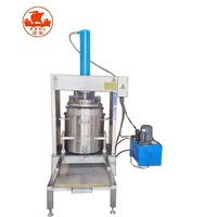 Industriële Hydraulische Fruit Groente Filter Druk Sapcentrifuge Druif Knijpen Drukken Sap Making Machine Dehydrator