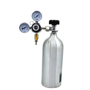 Pirinç garanti tek kademeli basınç CO2 taslak bira regülatörü CGA-320 2 ölçer çıkış basıncına ayarlanabilir