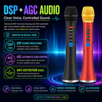 Microphone sans fil professionnel OEM d'usine, portable, pour karaoké extérieur, système de haut-parleur