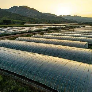 Invernadero superventas, invernadero multi-SPAN, plantación de cultivos agrícolas