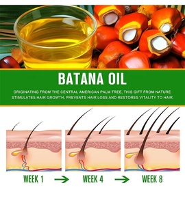 Aceite de Batana 100% de 30ml OEM, aceite orgánico puro prensado en frío sin refinar para el crecimiento del cabello, soporta un cabello más fuerte y grueso inspirado en Dr Sebi - Product Image 3