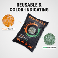 Sac déshumidificateur réutilisable pour voiture 100g, absorbeur d'humidité en gel de silice pour la maison et la voiture, déshumidificateur automobile écologique