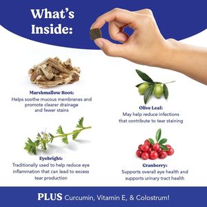 Golosinas Masticables Suaves para Perros de Marca Privada OEM/ODM, Vitaminas y Minerales para el Apoyo Inmunológico, Aceite de Pescado, Golosinas para Perros, Cuidado de la Salud, Botellas Envasadas - Product Image 2