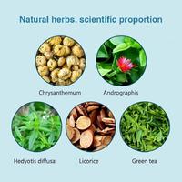 Teh Herbal Pendingin Winstown OEM untuk Kesehatan, dengan Kandungan Krisan, Andrographis, Hedyotis Diffusa, Licorice, dan Teh Hijau