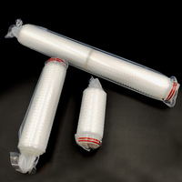 Cartouche filtrante plissée en PP de qualité alimentaire, cartouche filtrante sanitaire pour liquides, pour la filtration de l'eau des boissons