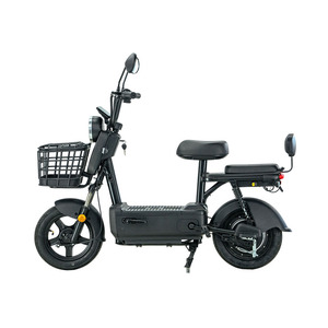 Bicicletta <span class=keywords><strong>Elettrica</strong></span> Indispensabile con Telaio in Acciaio Resistente, Motore Centrale da 1000W, Certificazione IP67 per Pendolari Adulti - Product Image 1