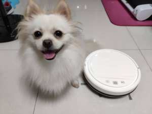 Di alta Qualità Wifi Polvere Cenere Umido A Secco Mop Controllo Vocale <span class=keywords><strong>Lefant</strong></span> <span class=keywords><strong>Robot</strong></span> <span class=keywords><strong>Aspirapolvere</strong></span> - Product Image 2