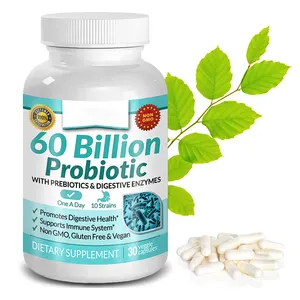 Digestive Health Multi Enzymes Supplement Lactobacillus Immune Support 60 Billion Probiotics And Prebiotics Capsules For Women