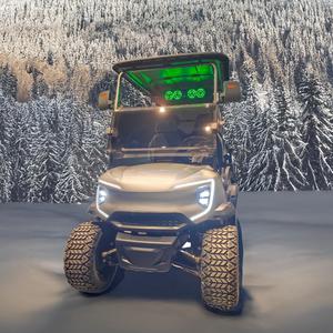 Mini voiturette de golf électrique au lithium 36V à prix compétitifs 4 places - Product Image 6