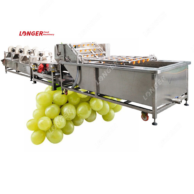 Best Vegetable Cleaning Washer Cleaner Grape Washing Machine for Fruit and Grape