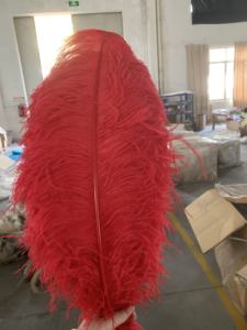 35-40cm plumes rouges colorées en vrac teintes longues grandes plumes d'autruche naturelles blanches pour les costumes de carnaval de fête d'artisanat de bricolage - Product Image 2