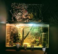 Bombilla de Lámpara para Reptiles con Logotipo Personalizado OEM del Fabricante, Bombillas de Luz UV para Tortugas, Lámpara de Calentamiento para Anfibios y Lagartos