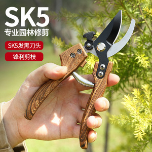 Pinheng <b>Gardening</b> Shears Sk5 Carbon Steel Bypass Pruner 3.3Cm Max Trim Diameter Manual Butterfly Design For Fruit Tree Trimming - Product Image 1