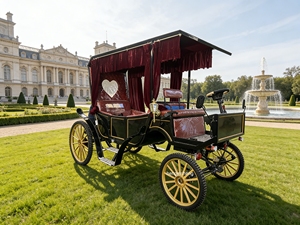 Cina carretti cavalli elettrici carrozza cavalli reali carrozza auto turistica - Product Image 1