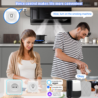 SIXWGH Module Relais Interrupteur Dissociable 1/2/3/4 Gang Tuya Wifi Zigbee Intelligent sans Fil Télécommande Maison Automatisation Commande Vocale Alexa