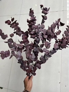 Style nordique feuille douce <span class=keywords><strong>guirlande</strong></span> d'<span class=keywords><strong>eucalyptus</strong></span> tiges fleurs séchées plantes préservées multi fourchette pour la décoration intérieure célébration de noël - Product Image 3