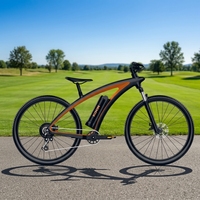 Vélo électrique en fibre de carbone A5E 250W/500W, batterie dissimulée, assistance au pédalage, vélo de route léger, entrepôt UE