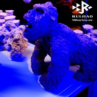 Décoration de Caverne pour Aquarium d'Eau Salée FOT, Pierre en Céramique Cuite à Haute Température pour Aménagement Paysager d'Aquarium, Godzilla King Kong Dragon Palace
