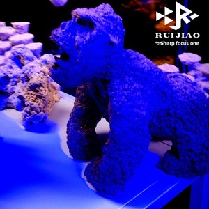 Decoración para Acuario de Agua Salada, Rocas y Piedras para Paisajismo de Acuarios, Adorno de Palacio de Dragón, Rey <span class=keywords><strong>Kong</strong></span>, Godzilla, Tridente y Ancla - Product Image 4