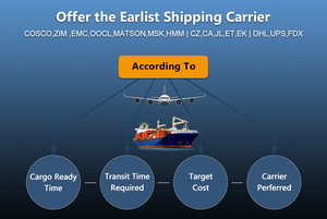 Spedizioniere DDP Porta a Porta per Trasporto Marittimo e Aereo Espresso Agente di Spedizione Marittima e Aerea DDP DDU Amazon FBA per USA e UE - Product Image 2