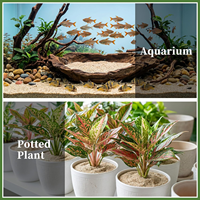 Pasir Kuarsa Alami Halus Grosir 0.4-0.8mm Substrat Akuarium Taman Zen Tanaman Pot DIY Pasir Silika Dekoratif