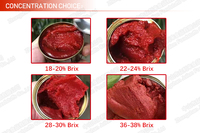 Pâte de Tomate Doublement Concentrée Aseptique Brix 28-30 en Conserve, Prix Usine, Fournisseur Chine