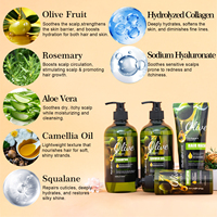 OEM Professionele Olijfolie Shampoo en Conditioner Anti-roos Shampoo Hydraterende Biologische Shampoo voor Zijdezacht en Glanzend Haar