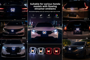 ไฟโลโก้ LED สำหรับรถยนต์ รุ่น H แบบกันน้ำ 12V สำหรับติดตั้งกระจังหน้ารถยนต์ ใช้แทน<span class=keywords><strong>ตรา</strong></span>สัญลักษณ์ของฮอนด้า ตกแต่งรถยนต์ได้หลากหลายรุ่น - Product Image 5