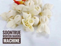 Machine automatique à faire des raviolis, machine à samosas multi-formes, machine professionnelle à gyozas pour différents produits