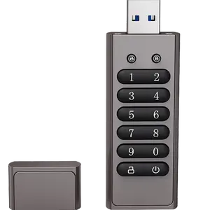 Mot de passe de cryptage lecteur flash USB personnalisé en alliage de zinc USB3.0 protéger les fichiers disque flash USB