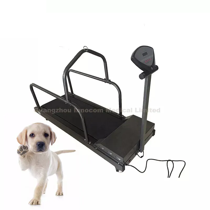 Tapis roulant électrique professionnel pour chiens, appareil d'entraînement pour chiots et chatons