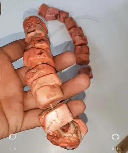 Coral Tumble Gem Beads Strands IGI Certified Diverses tailles (4-16mm) 5 Brins quantité minimale de commande pour la fabrication de bijoux d'été - Product Image 1