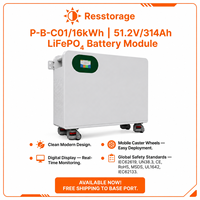 Batterie solaire résidentielle 48V 314Ah 16.08kWh LiFePO4, outil de stockage d'énergie domestique, installation gratuite, CE