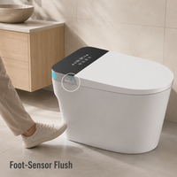 WC à jet d'eau mural pour homme et femme, avec télécommande, siège chauffant, double chasse d'eau, désodorisation automatique, réservoir encastré